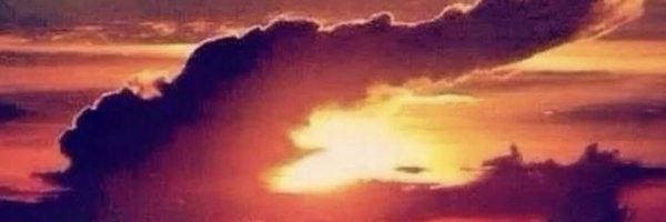 GatorDrew352 Profile Banner