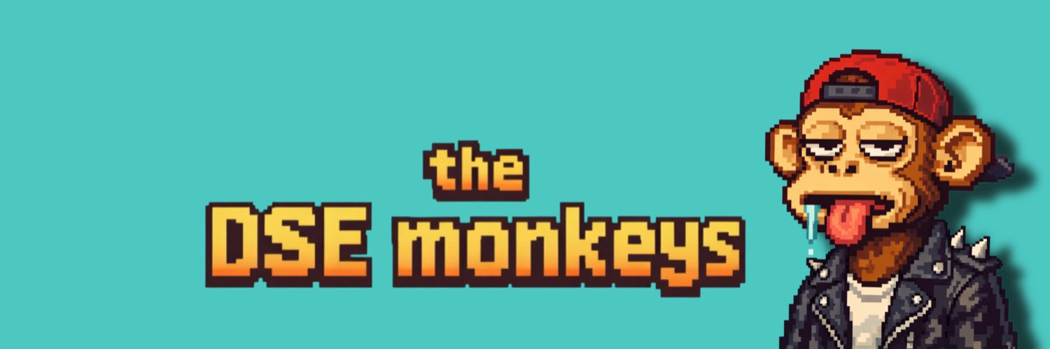 DSE MONKEYS banner