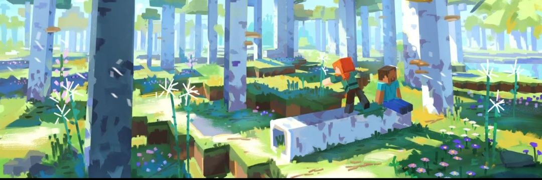 Bajé 🏳️‍🌈,🏴‍☠️ banner