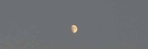 augustearss Profile Banner
