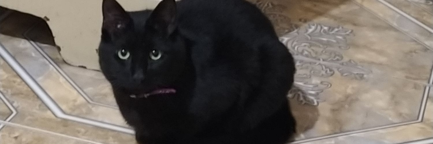 mariat98_'s profile banner image