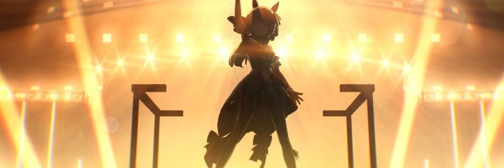 たまc-300in banner