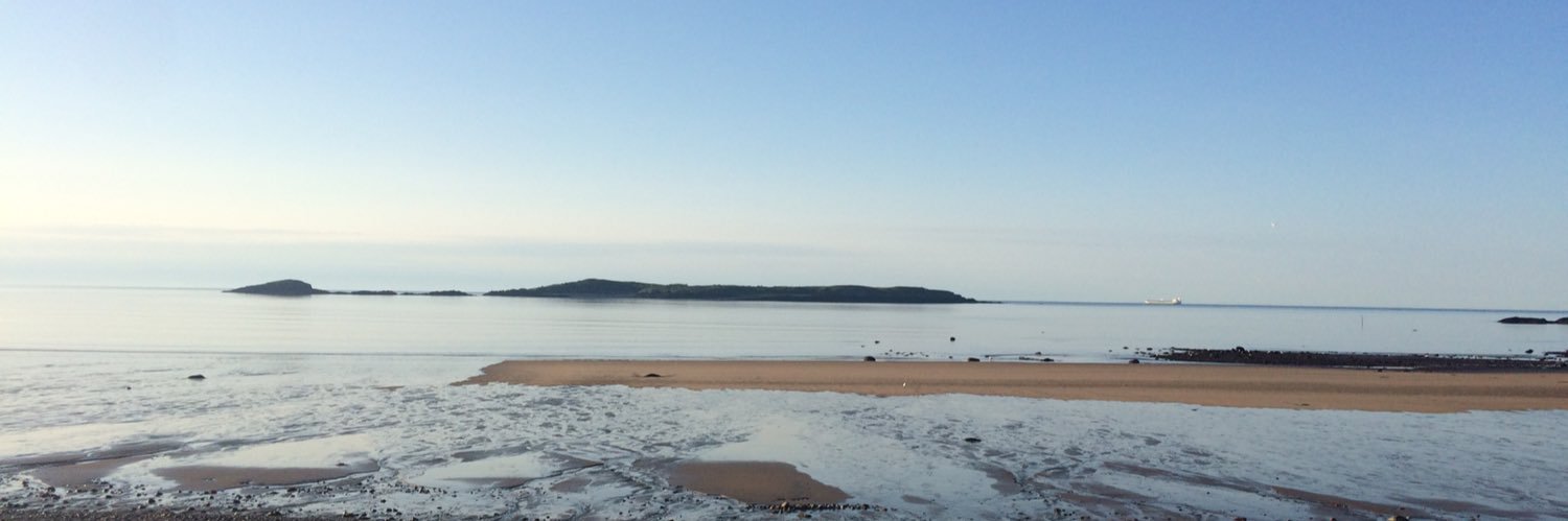 Nathalie Godbout banner