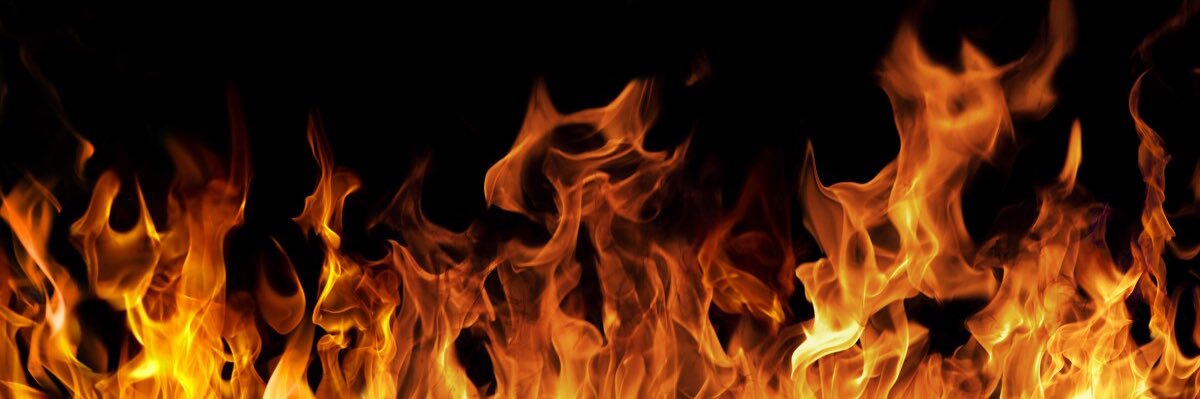 DragonFi.algo 🔥's banner