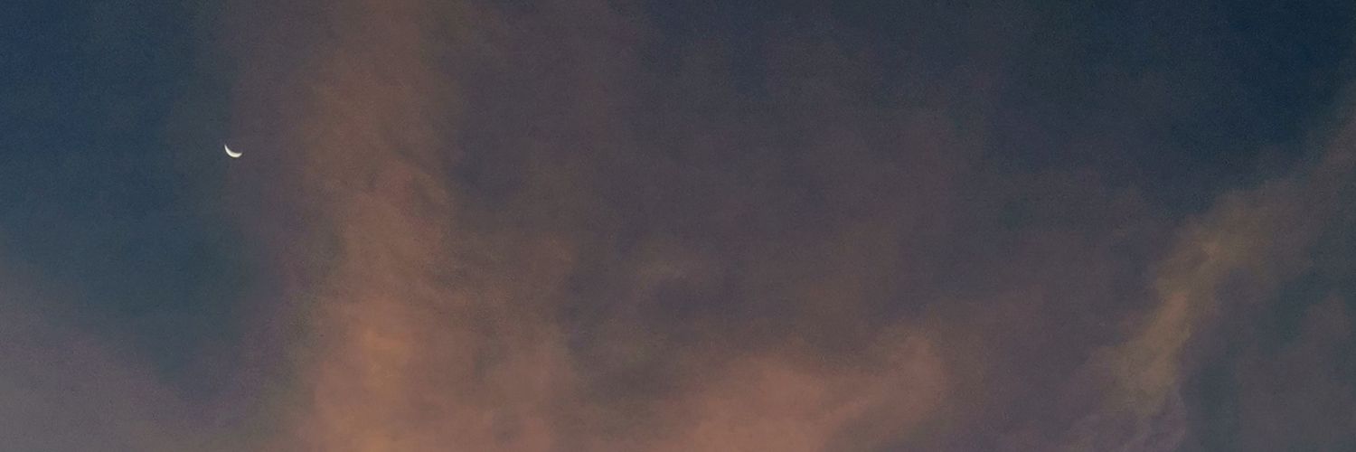 secrelias's profile banner image