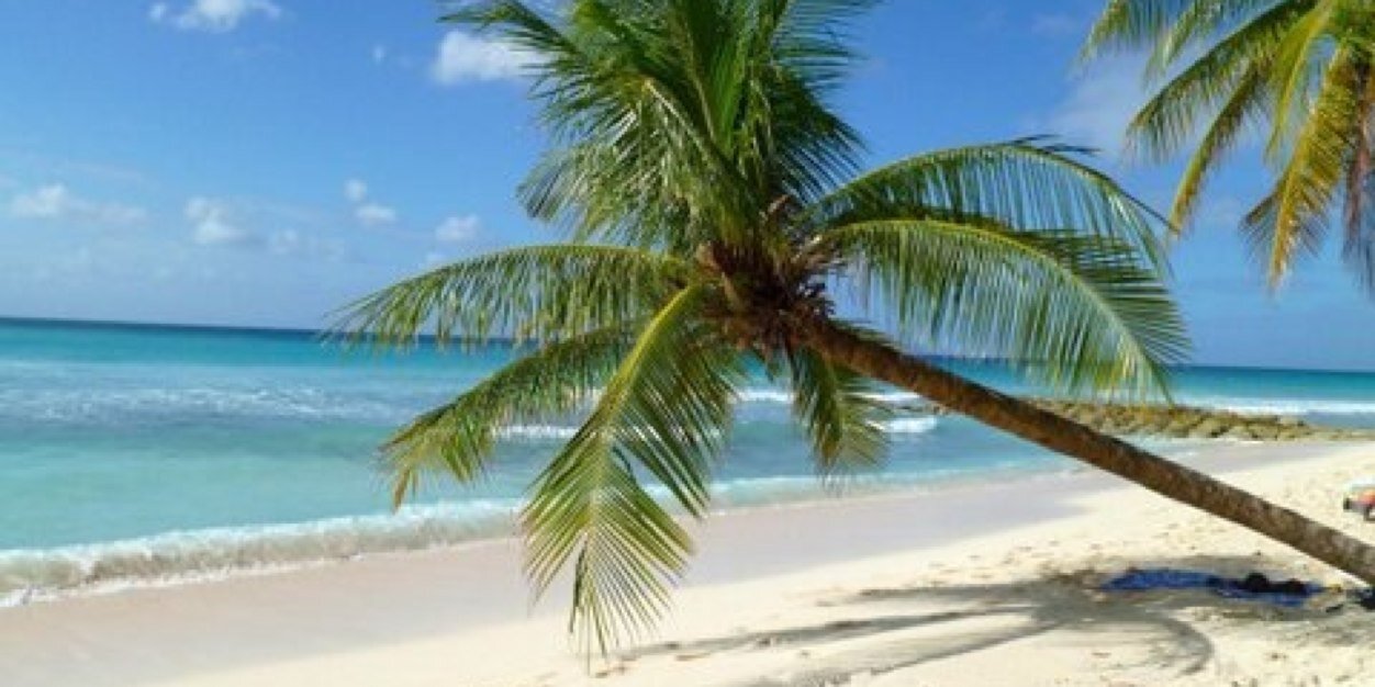 Turicun_Contigo's profile banner image
