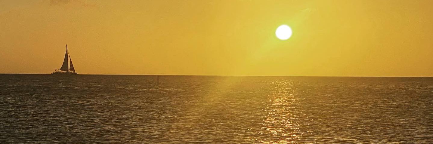 valecrosh's profile banner image