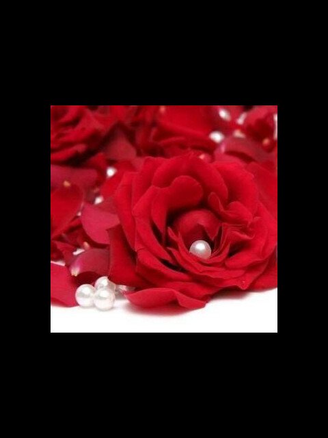 Ssara_141's profile banner image