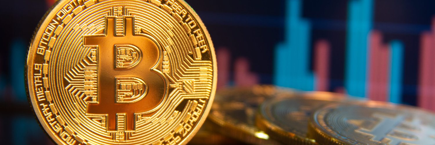ringringcrypto's profile banner image