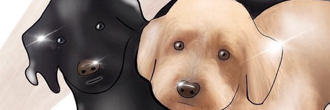 shanphillips_'s profile banner image