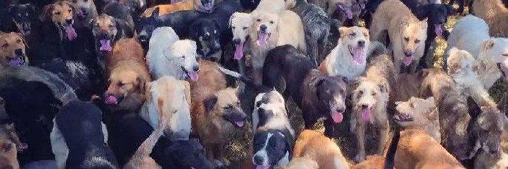 Marcos Salinas banner