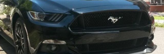 CAISERBORIS's profile banner image