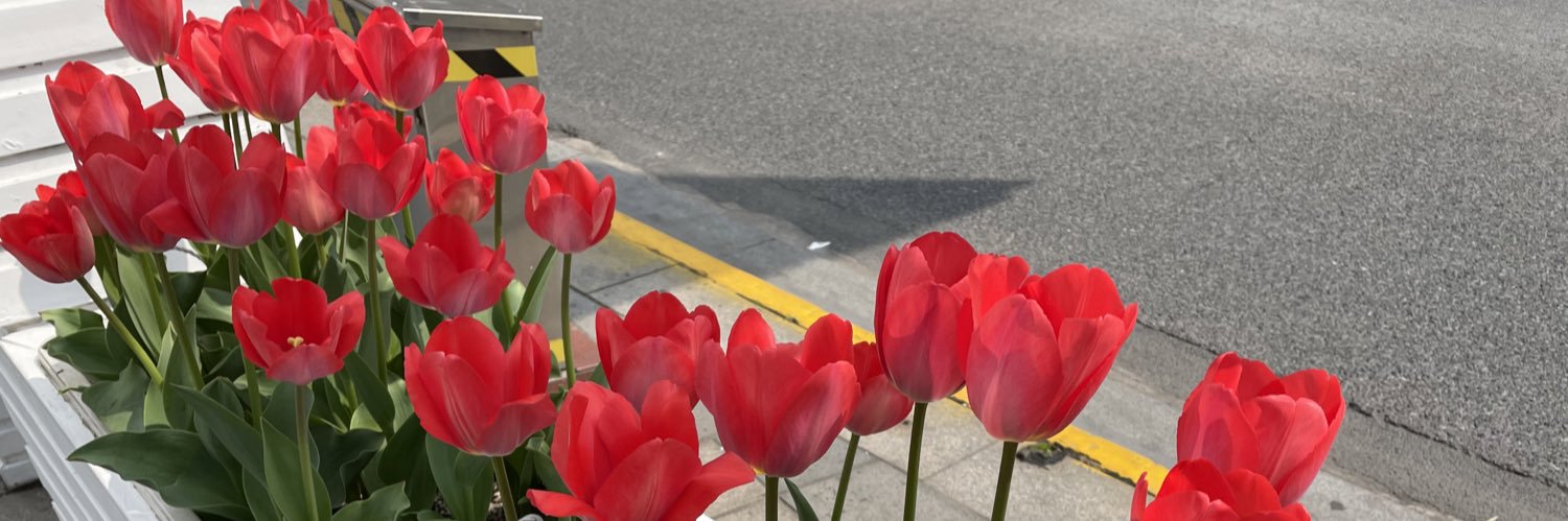 ss1616 banner
