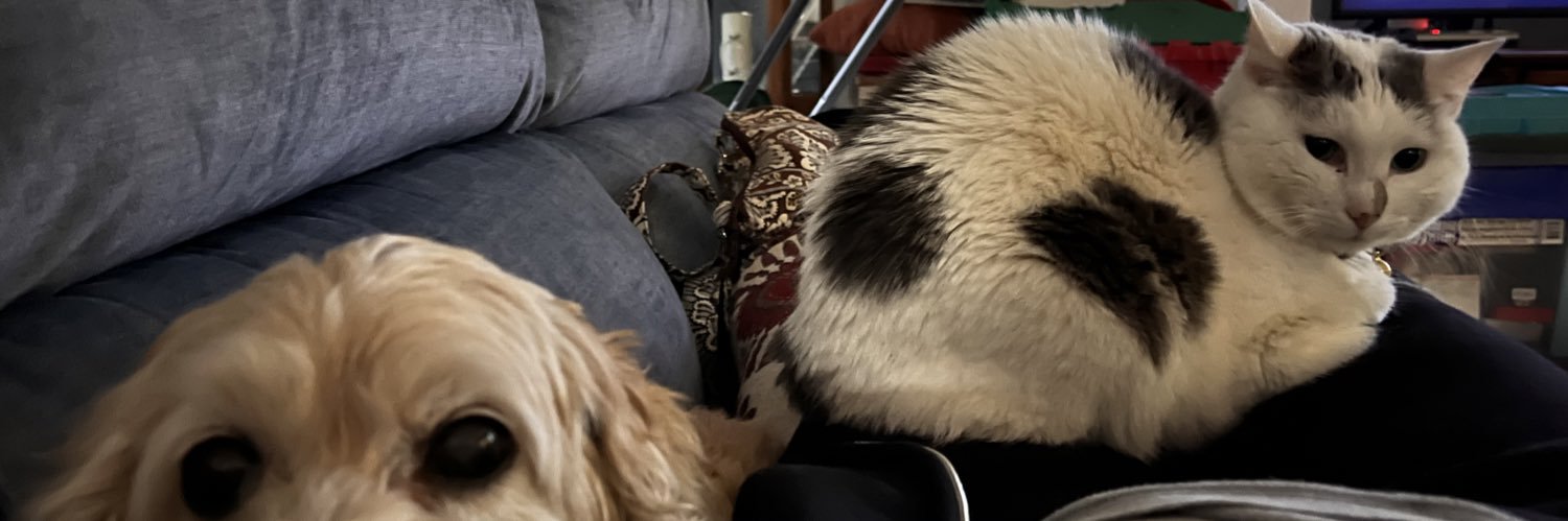 Paws4Life banner