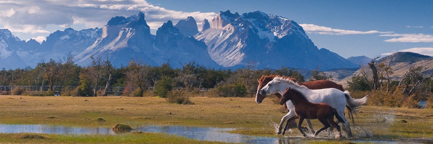 Katerina Efremova banner