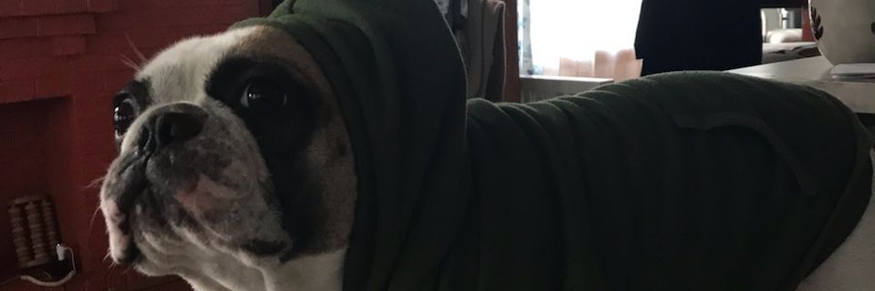 Ruiz_Xavier98's profile banner image