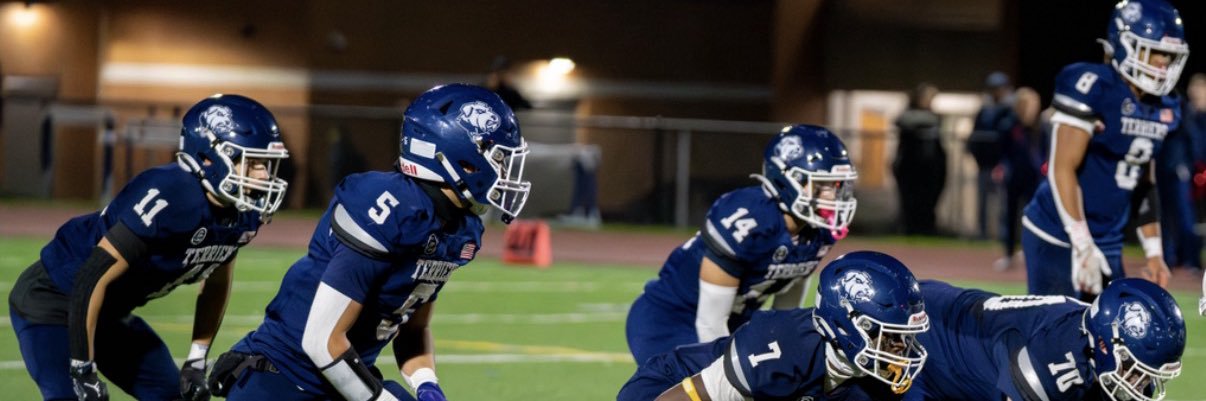 nolanshapiro banner