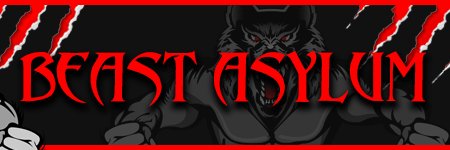 BeastFromEastTV's profile banner image