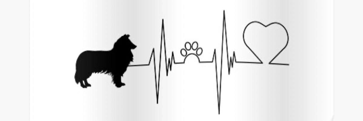 EnzoNaessens's profile banner image