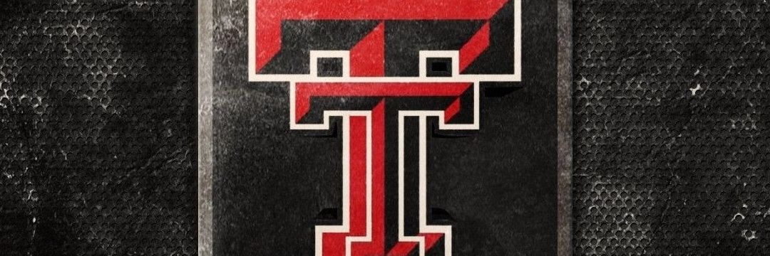 Ashley King 🌵 banner