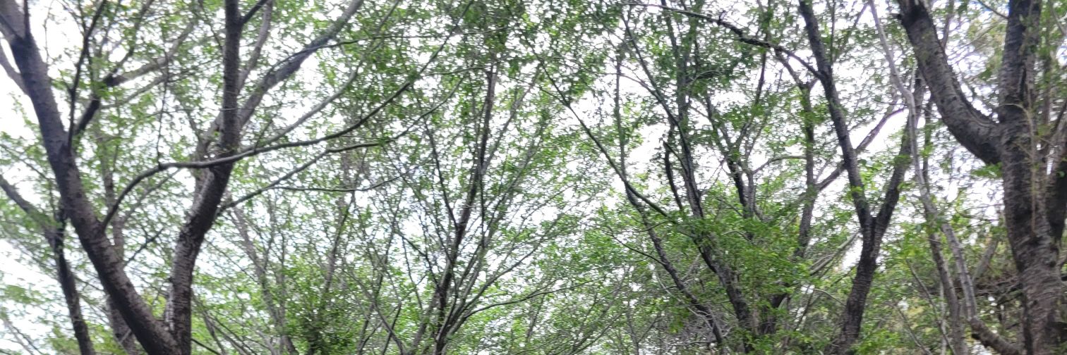 같이삽시다 banner