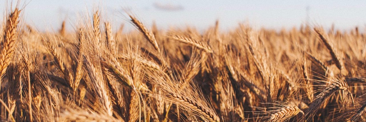 Correction Line Ag banner