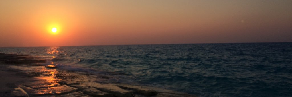 nadanasser01's profile banner image