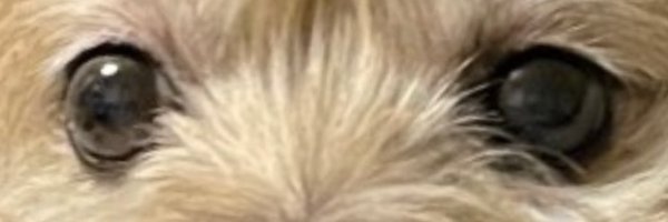 emoemo78354888 Profile Banner