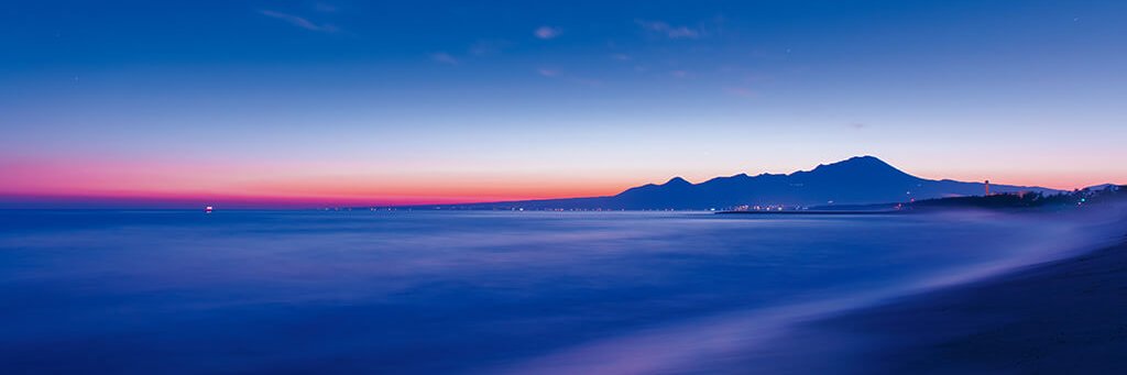 bizz yi OwO 🐉 $MON banner