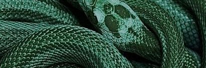 nuxphipps's profile banner image