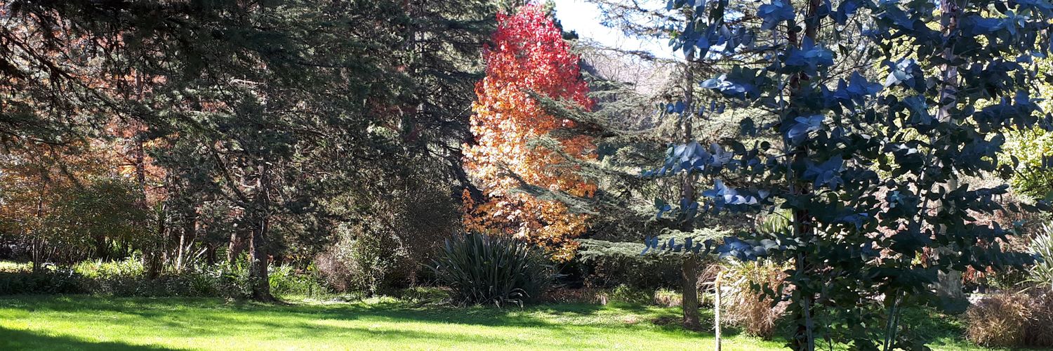 jmunioz's profile banner image