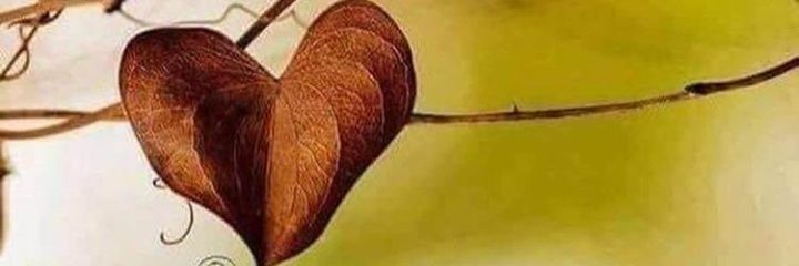 joelsantosd's profile banner image