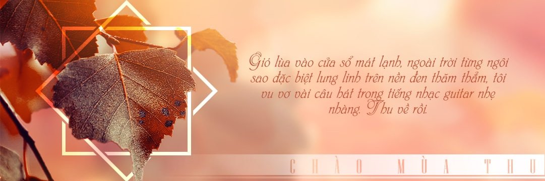Lam An Tri banner