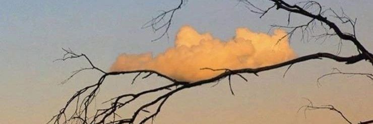 zi70004565's profile banner image