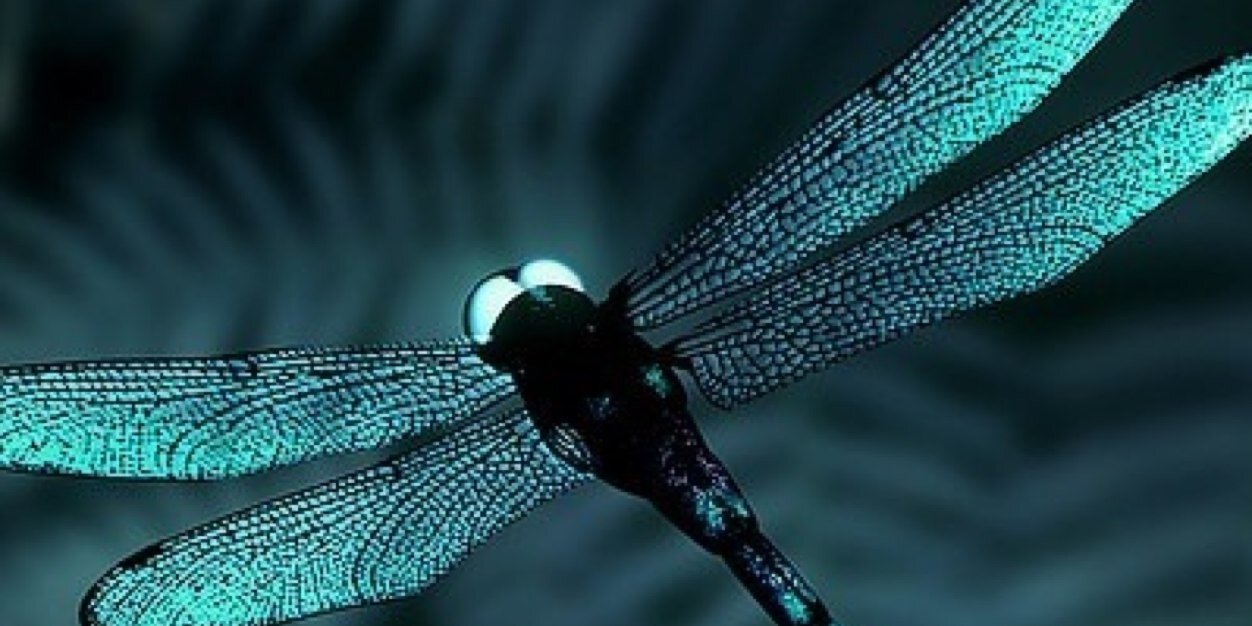 Angie_roba's profile banner image