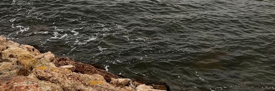 الميدوايفة نجمة🌠 banner