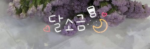 saltymoon__'s profile banner image