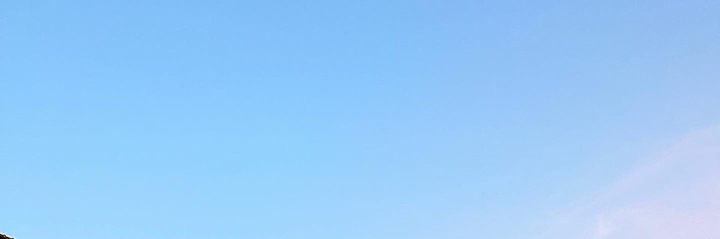 t.triplepea banner