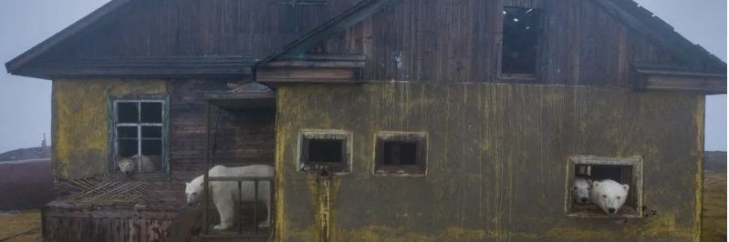 Apty banner