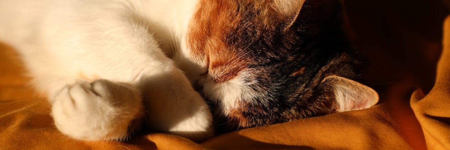 BeckyTasker6's profile banner image