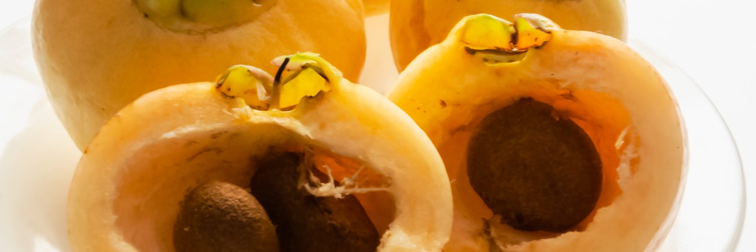 jafarant's profile banner image
