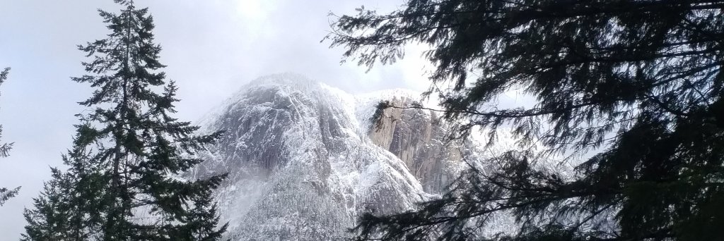 MonzterofHope's profile banner image