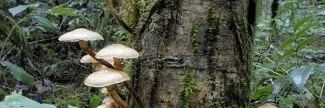 Beeduos1's profile banner image