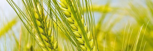 FBarrosLab Profile Banner