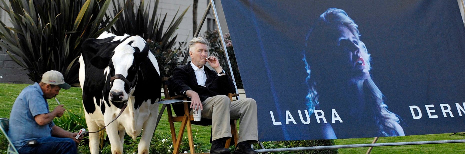 Gina Asprocolas banner