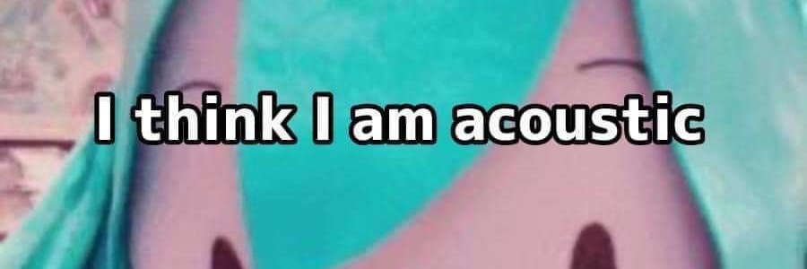 Duck, PHD banner