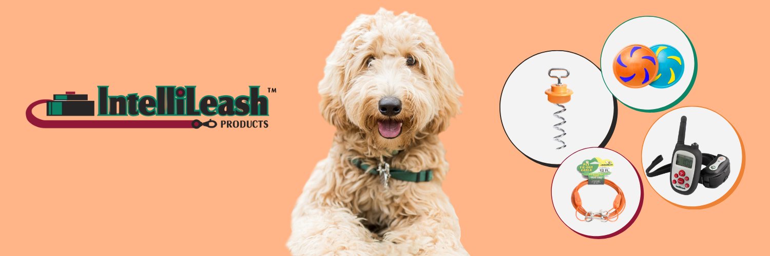 Intellileash's profile banner image