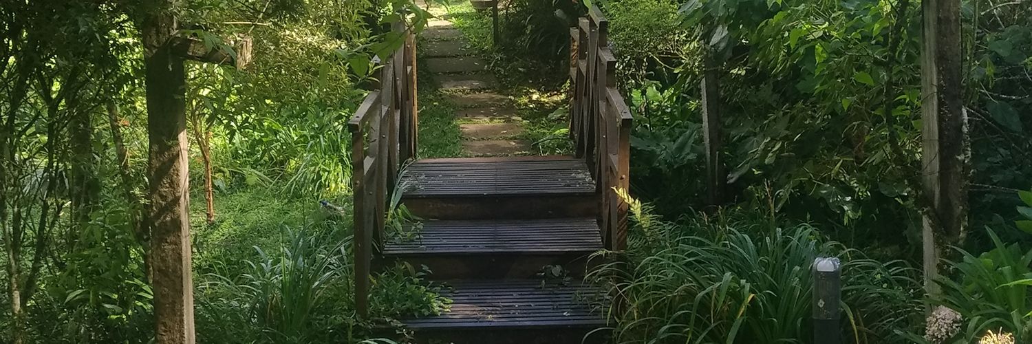 Seu Anésio banner