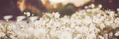 luannavscd's profile banner image