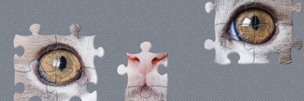 Biolobtch's profile banner image